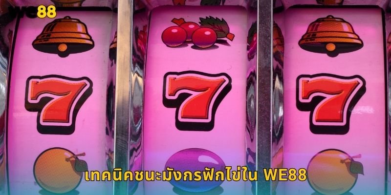 เทคนิคชนะมังกรฟักไข่ใน We88